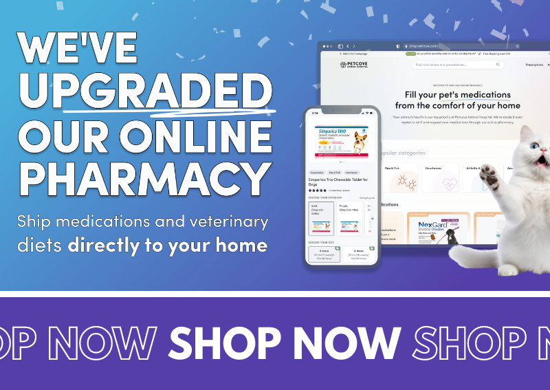 Carousel Slide 1: Cortlandt Manor online veterinary pharmacy